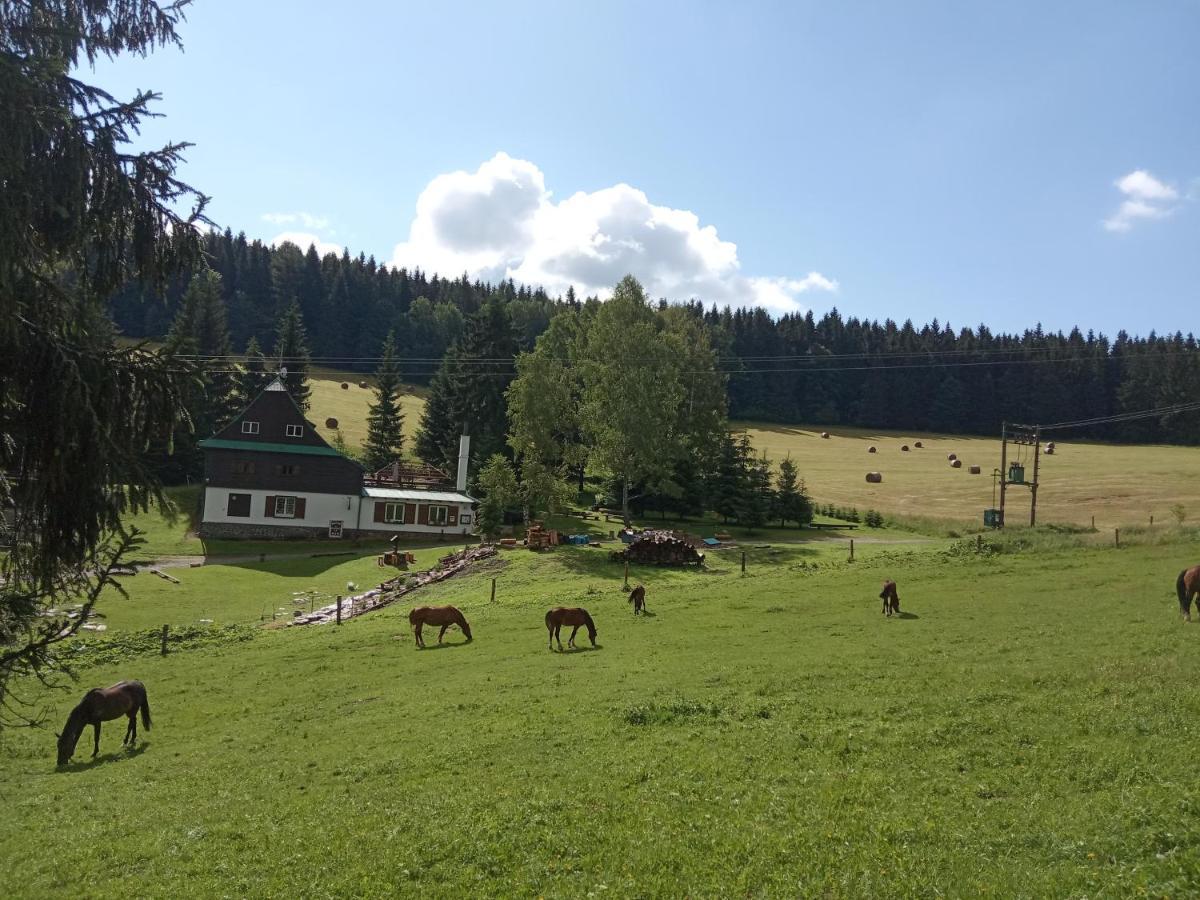 Penzion La Baita Branna Bagian luar foto