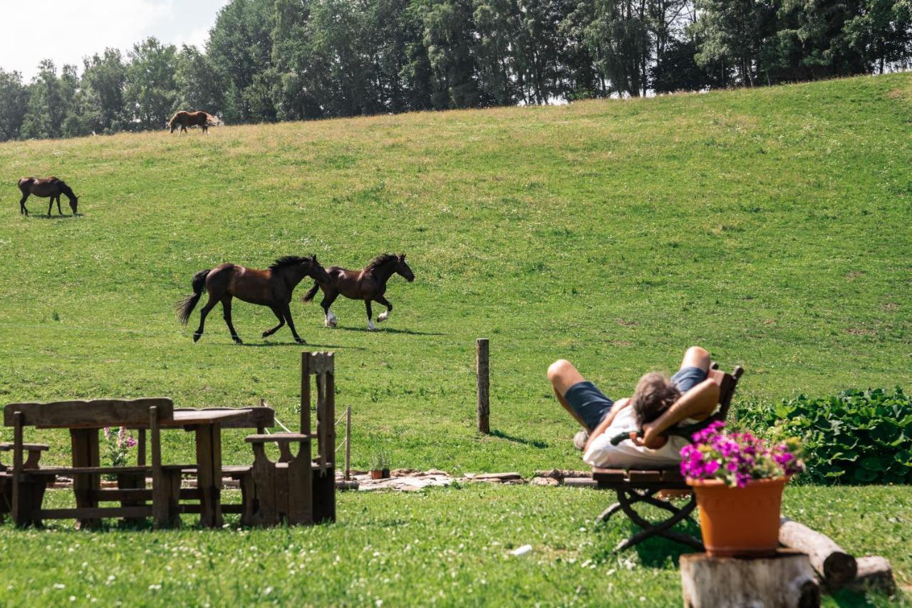 Penzion La Baita Branna Bagian luar foto